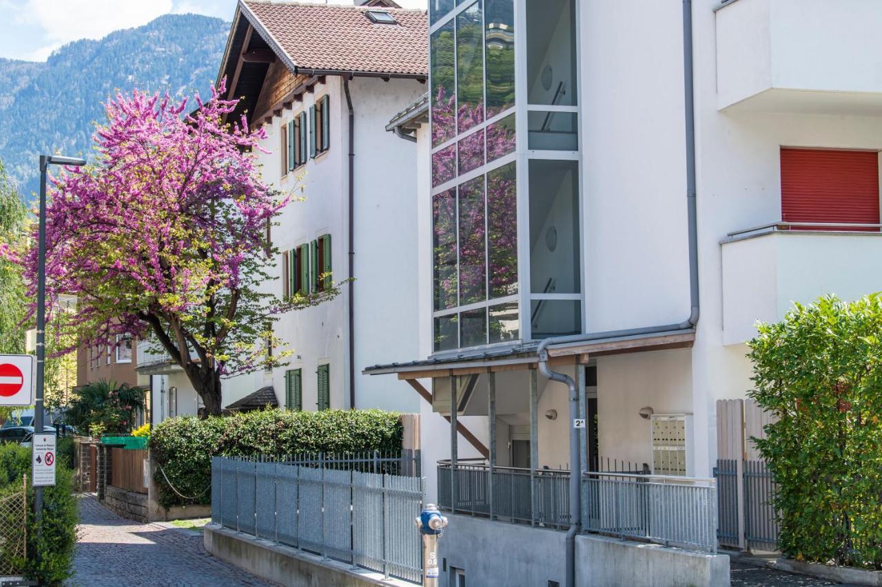 Leonardo Apartment